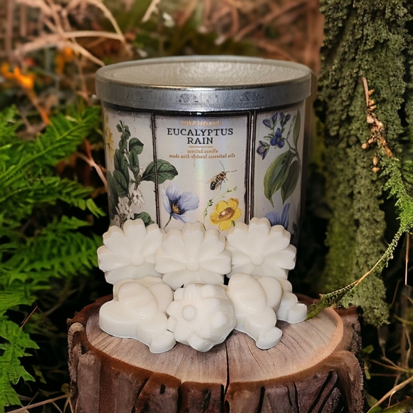 Bath & Body Works Accents Eucalyptus Rain Wax Melts Bath And Body